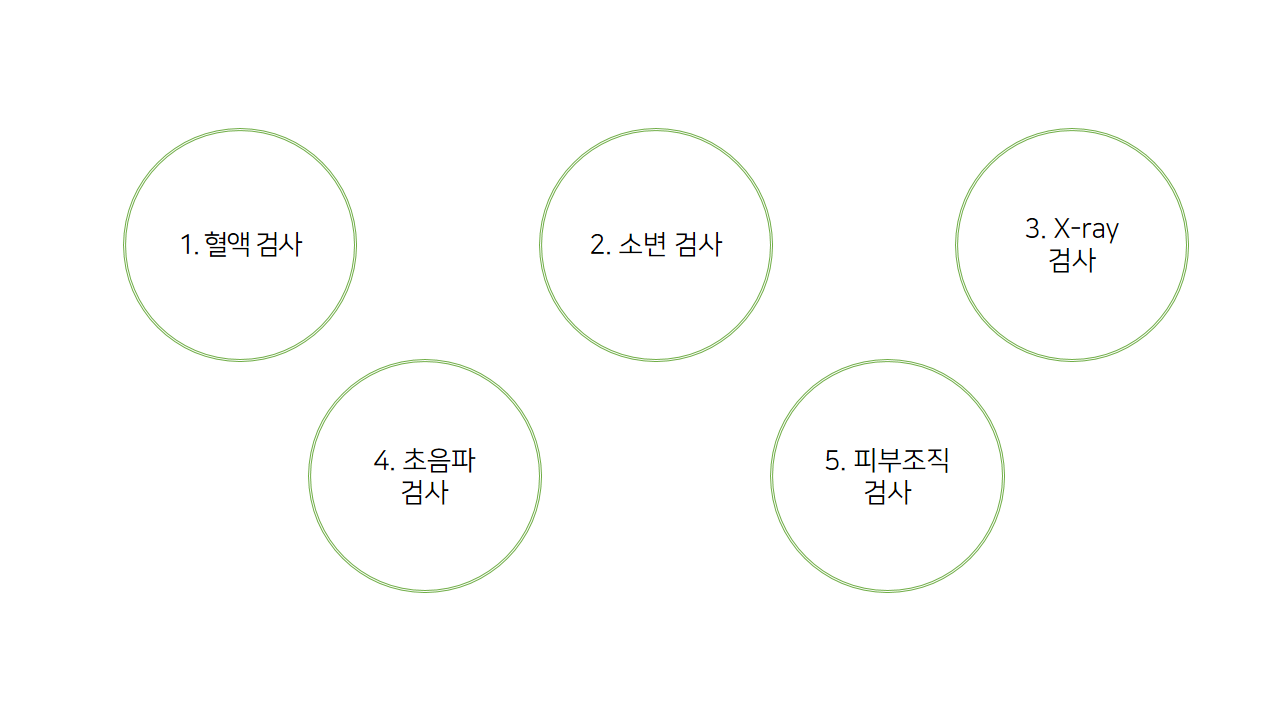 루푸스 치료.png